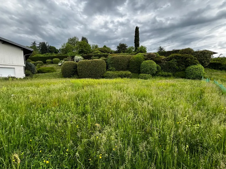 Terrain avec hautes herbes à entretenir
